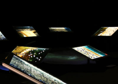 El vuelo del Alcatraz