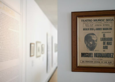 Miguel Hernández. A plena luz